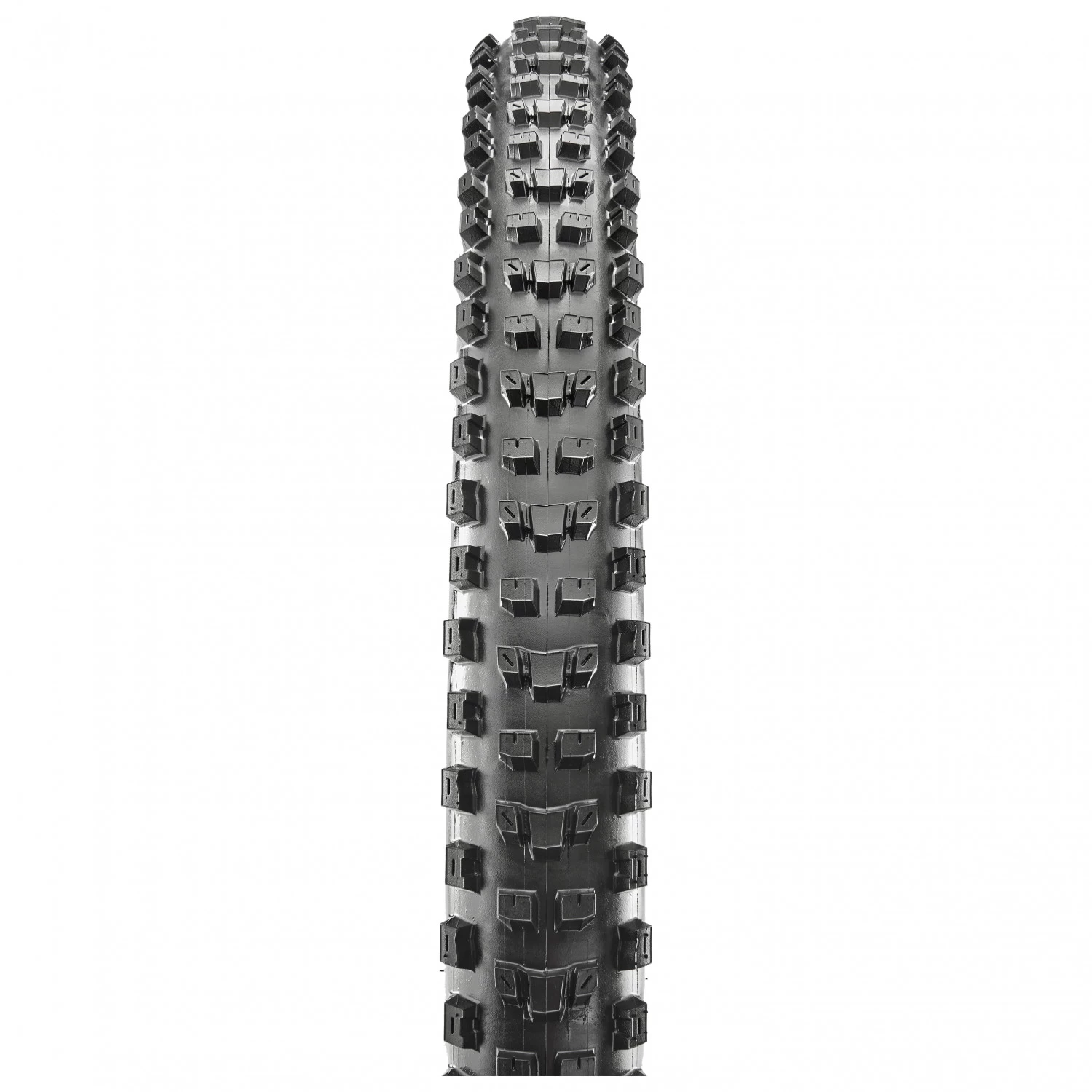 Maxxis - Dissector 29'' (61-622) WT 3C MaxxTerra DD TR - Cyclocross Tyre 2 Maxxis - Dissector 29'' (61-622) WT 3C MaxxTerra DD TR - Cyclocross Tyre - Image 2