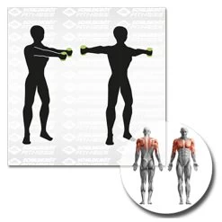 Schildkröt Fitness - Soft-Hanteln Aerobic-Hanteln - Functional Training 9 Schildkröt Fitness - Soft-Hanteln Aerobic-Hanteln - Functional Training -Bicycle Cycling Equipment Shop schildkroet fitness soft hanteln aerobic hanteln functional training detail 4